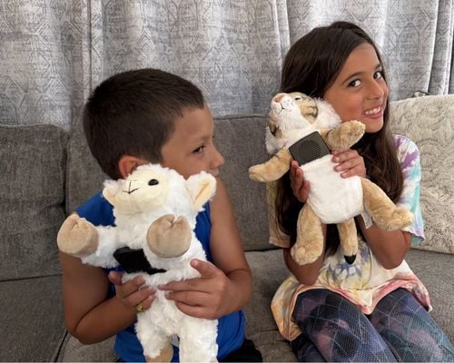 Peluches con radio para niños